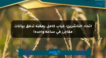 اتحاد الناشرين: غياب كامل يعقبه تدفق بيانات مفاجئ في ساعة واحدة!